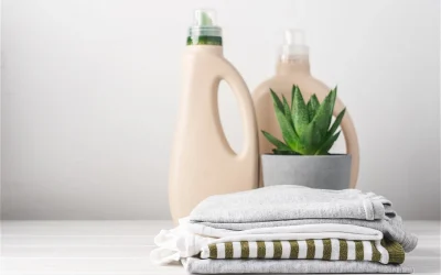 Eco-Friendly Cleaning Solutions: How TrueService is Leading the Green Initiative in Bangalore